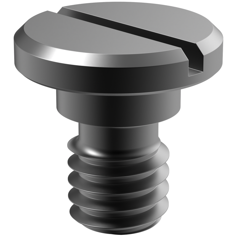 Lock Screw Pack