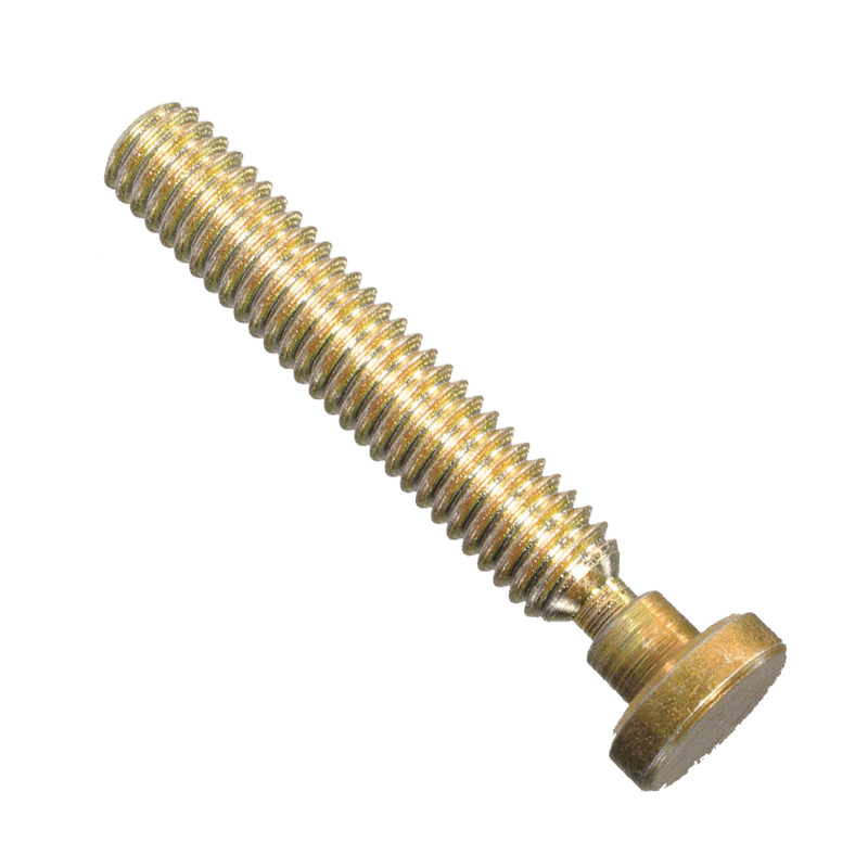 Stainless Swivel Screw with Large Foot