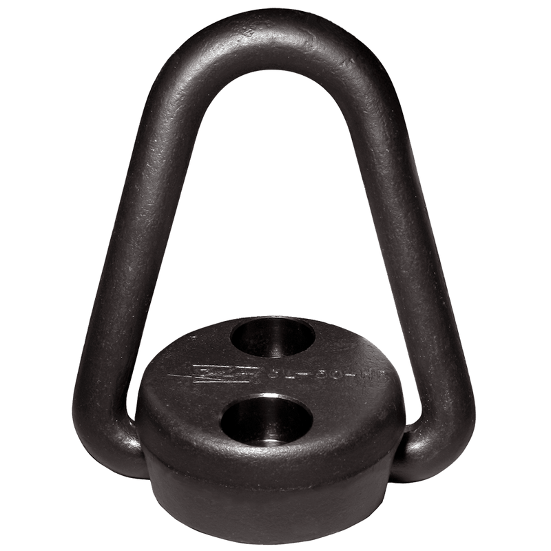 Carr Lane Pivoting Hoist Ring