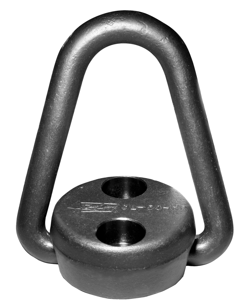 Carr Lane Pivoting Hoist Ring